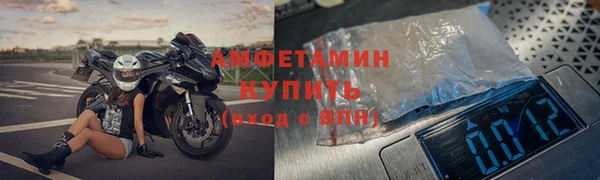 гидра Абаза
