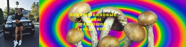 тгк Абинск