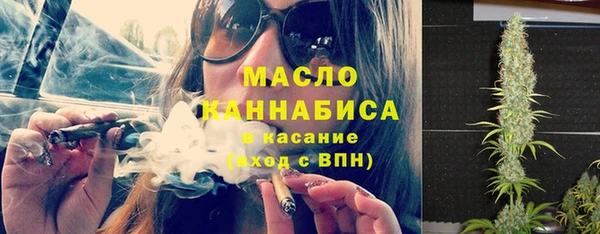 гидра Абаза