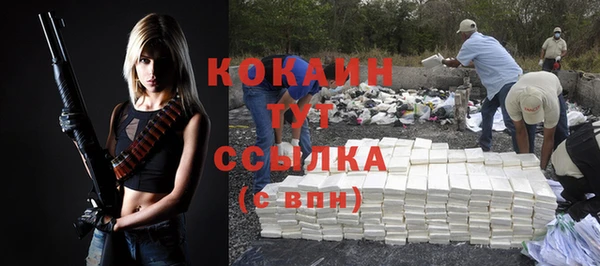 гидра Абаза