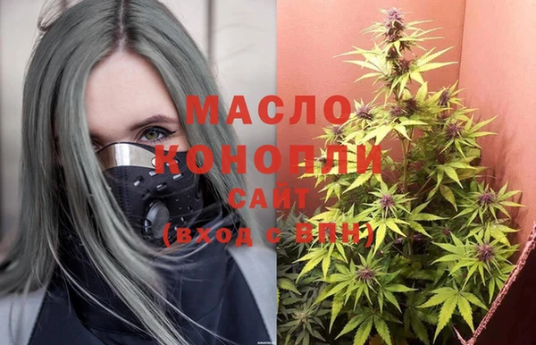 гидра Абаза